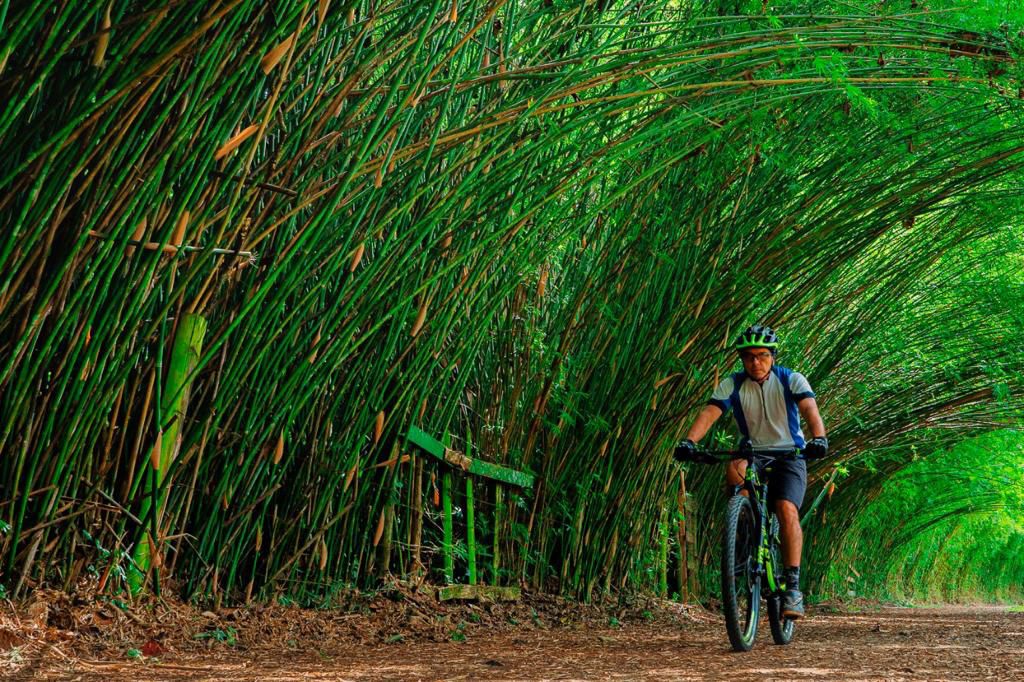 Ciclista em trilha de mountain bike no Parque Cemucam